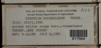 Image Associated With the Occurence